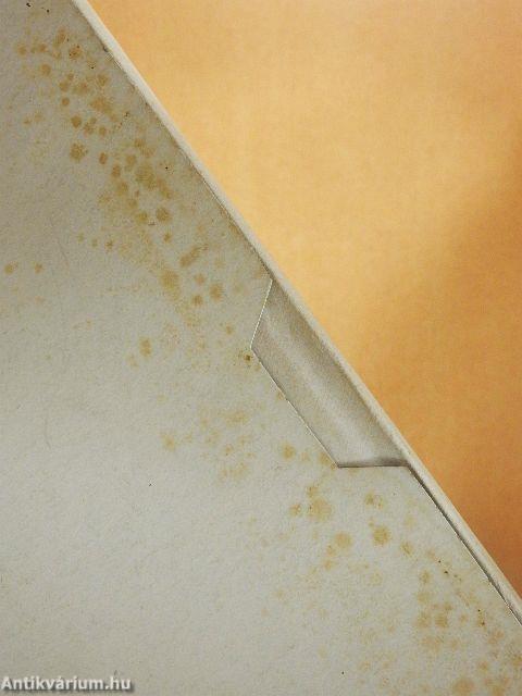 Budapest székesfőváros