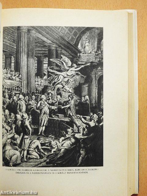 A francia forradalom története