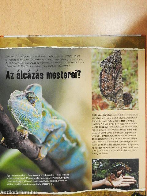 Állati tévedések