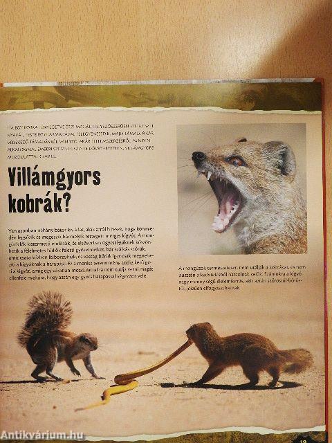 Állati tévedések