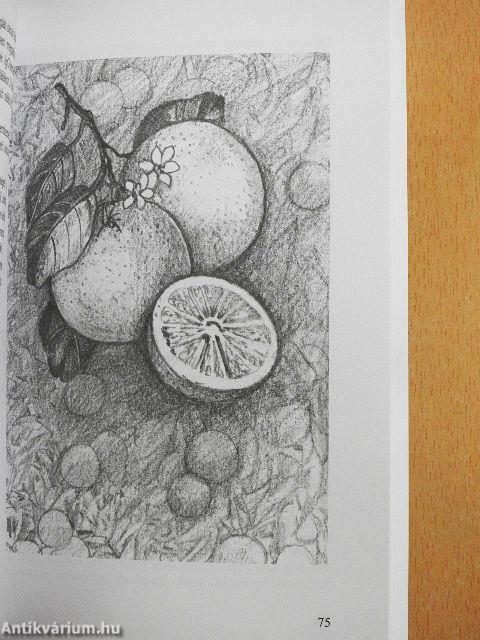 A csodálatos grapefruitmag