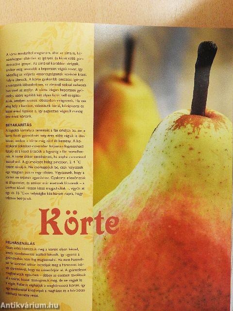 A konyhakertész szakácskönyve