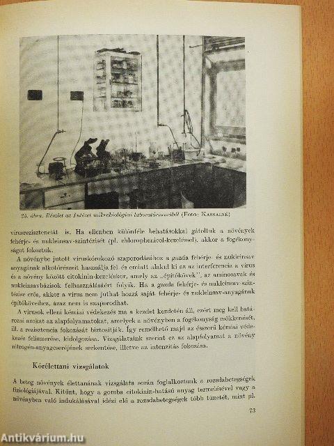 Növényvédelmi Kutató Intézet Budapest