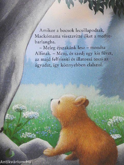 Aludj szépen, Alfi mackó!