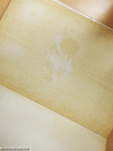 VII. századi avar települések és Árpád-kori magyar falu Dunaújvárosban