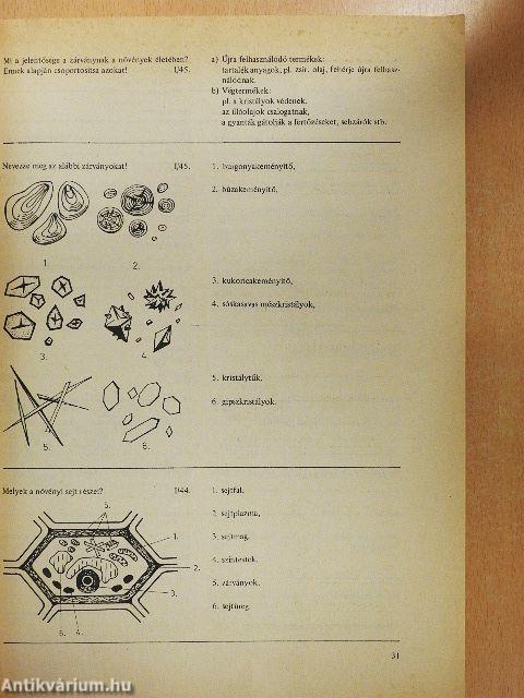 Biológiai korrepetitor