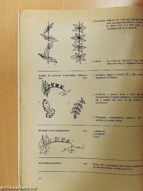 Biológiai korrepetitor