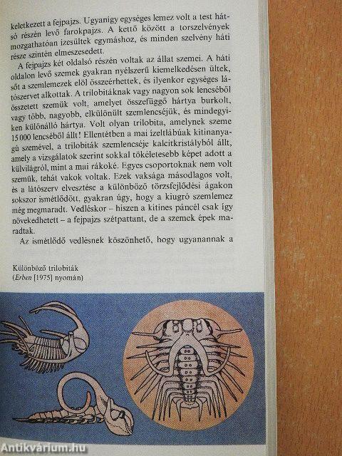 Az eltűnt élet nyomában