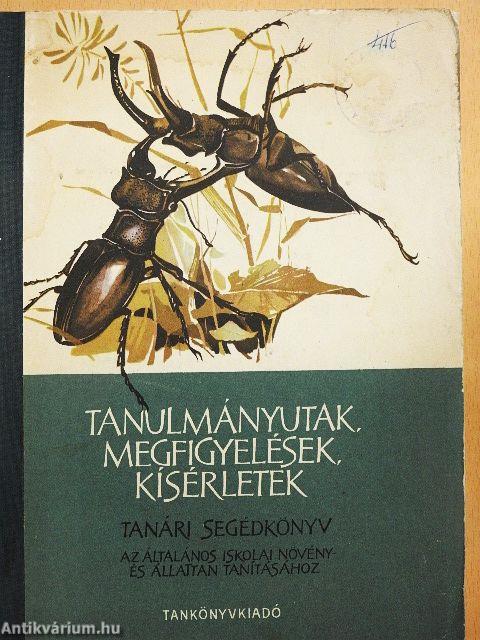 Tanulmányutak, megfigyelések, kísérletek