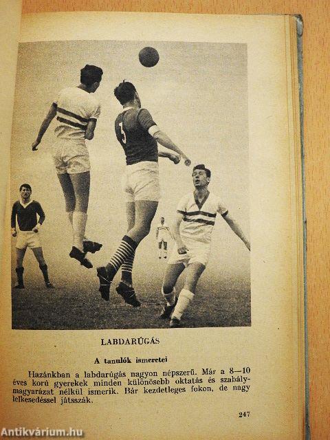 Testnevelési kézikönyv