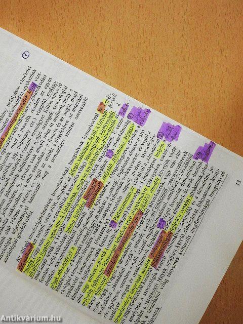 Szociológiaelmélet