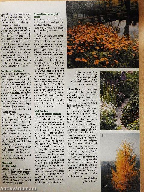 Otthon 1999. január