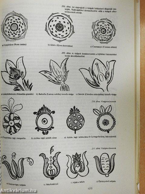 Festett bútorok a Székelyföldön