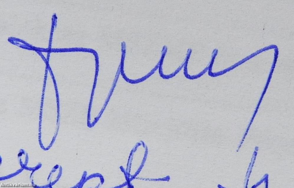 Egy monolit rendszer árnyalatai (dedikált példány)