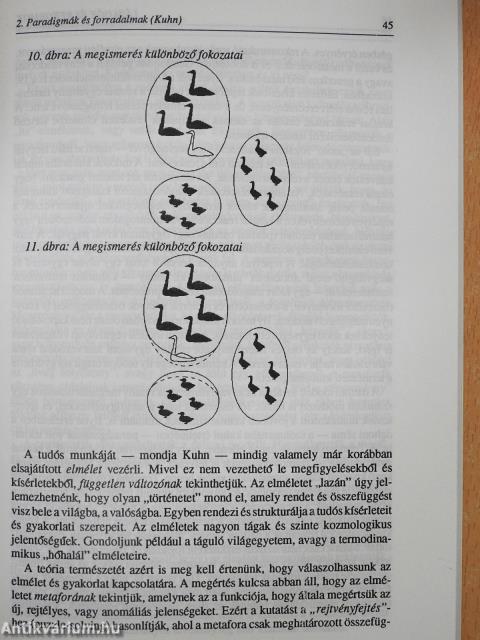 Perlekedő tudáselméletek (dedikált példány)