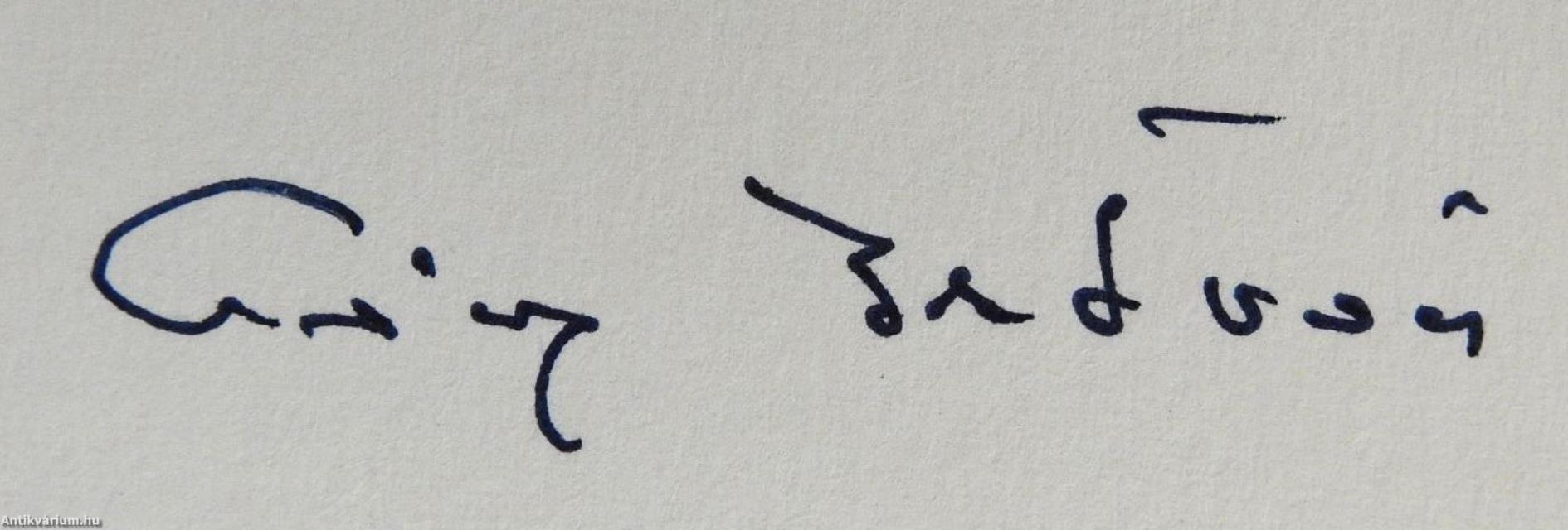 Magyarként Európában (dedikált példány)