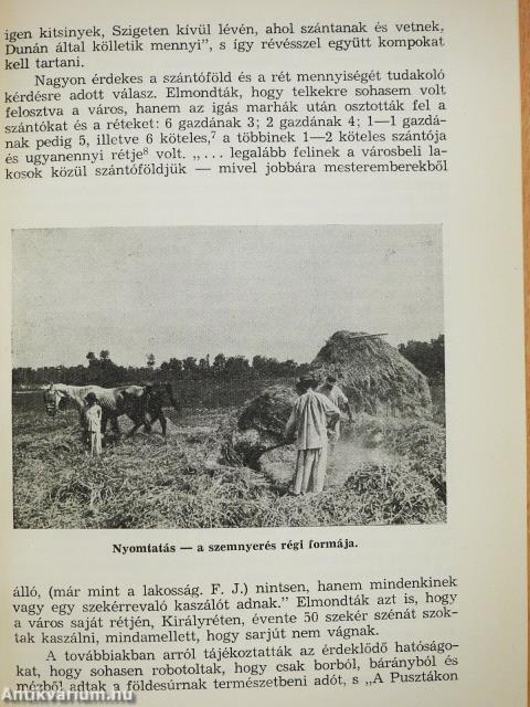 Úrbéri perek és jobbágyfelszabadítás a ráckevei járásban (dedikált példány)