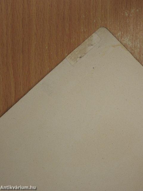 Tanulmányutak, megfigyelések, kísérletek