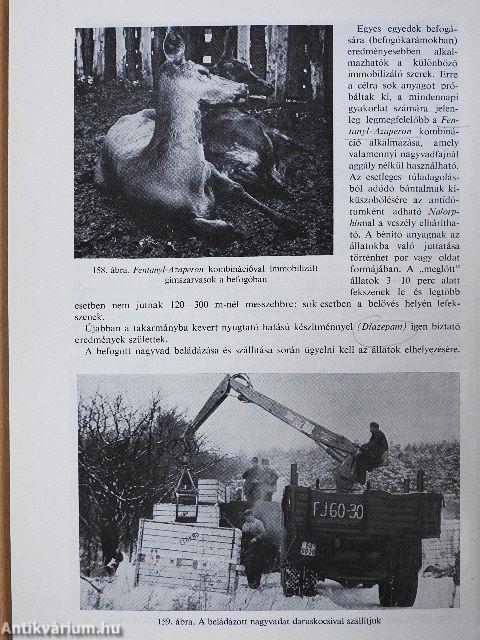 A vadon élő állatok betegségei