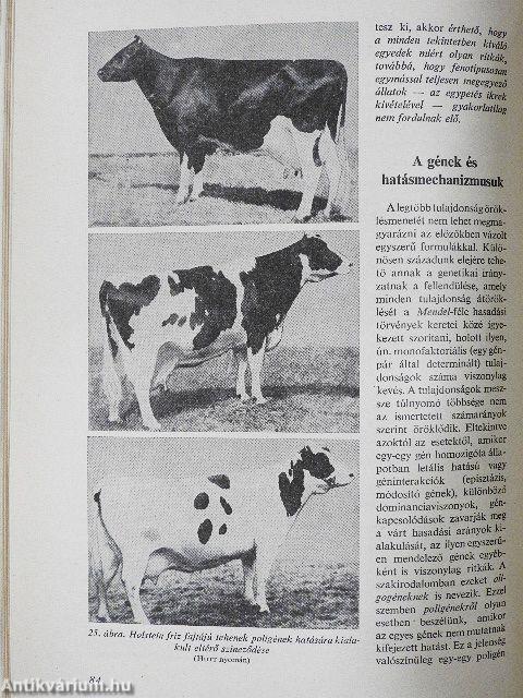 Állattenyésztés 1-3.
