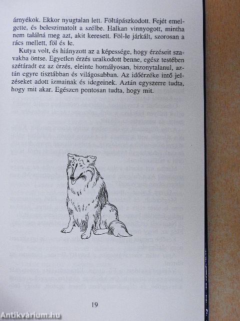 Lassie hazatér