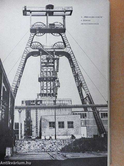 Tisztelet Komlónak!