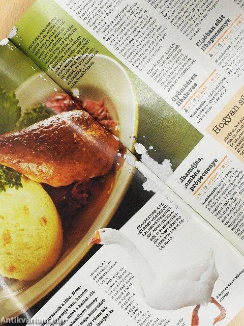 Délmagyarország - Gasztro magazin 2016. január-december