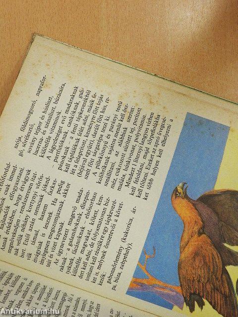 Állatkerti boszorkánykonyha