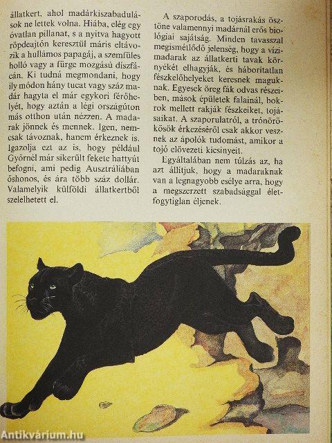 Állatkerti boszorkánykonyha