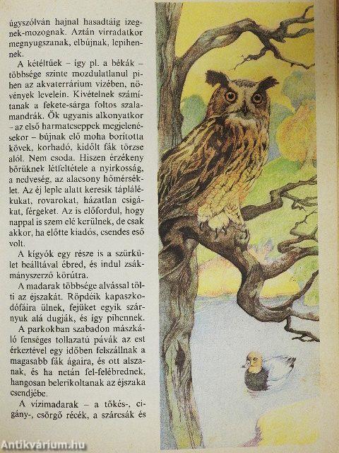 Állatkerti boszorkánykonyha