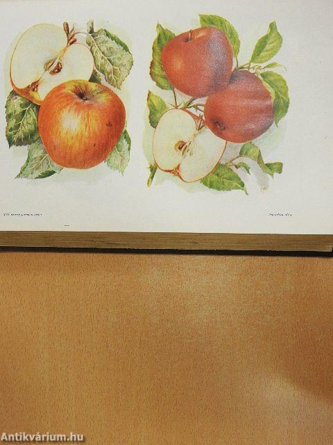 Mezőgazdasági Lexikon 1-2.