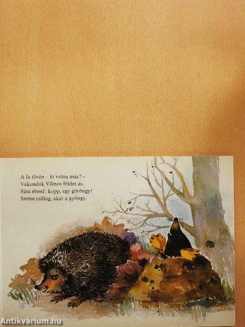 Kökörcsin, barka, gesztenye