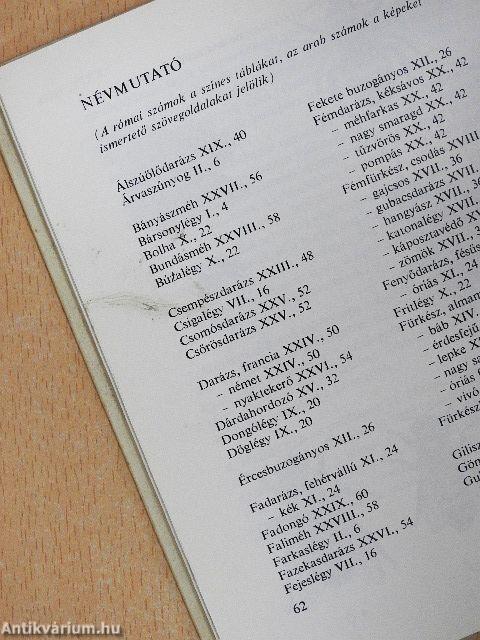 Legyek, hangyák, méhek, darazsak