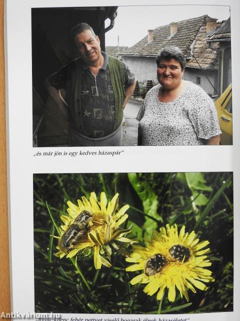 Kiengesztelődés (dedikált példány)