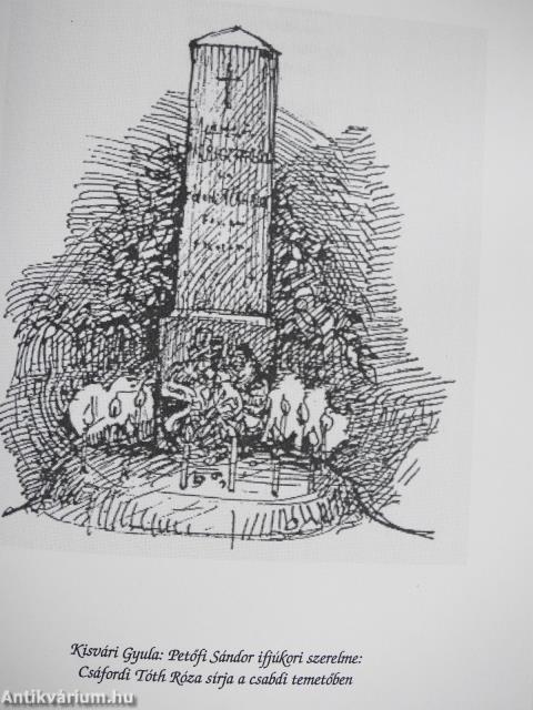 A Somlyóról nézve (dedikált példány)