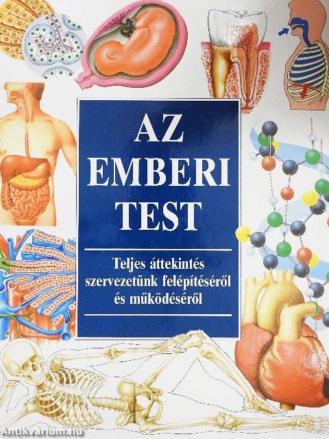 Az emberi test
