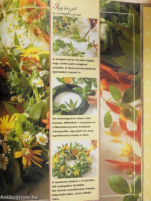 Nagymama házipraktikái 