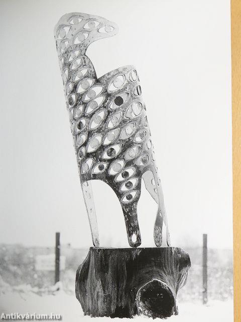 The Ladder of the World