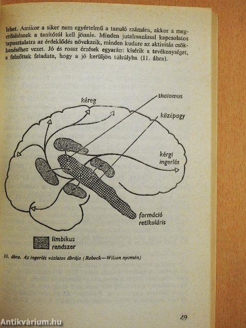 Az írástanulás pszichológiája