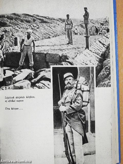 A pokol zsoldosai