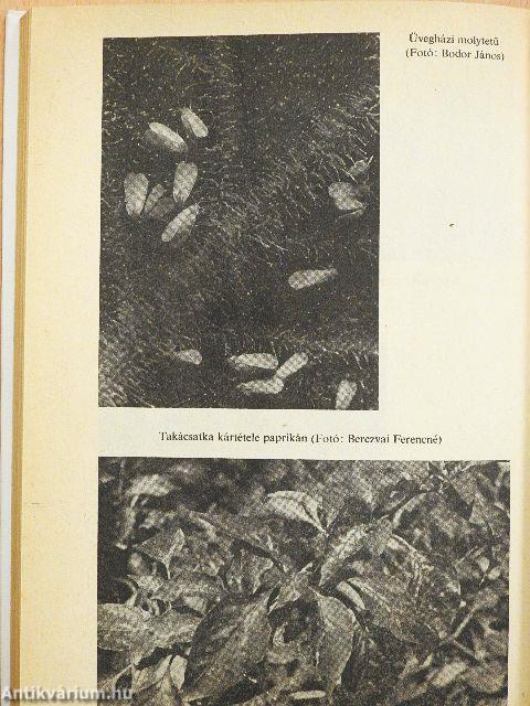 Házikerti zöldségfélék növényvédelme