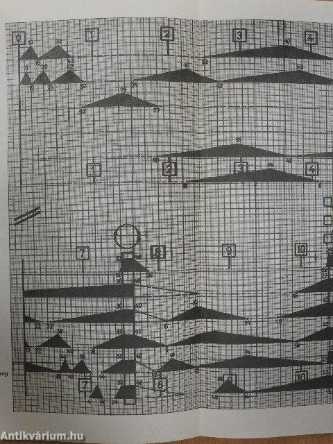 Az elektronikus zene (dedikált példány)