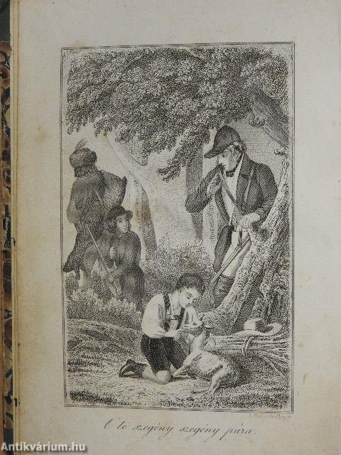 Schmid Kristóf ifjusági iratai VIII.