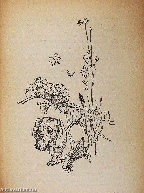 Snipp, a nagy vadász