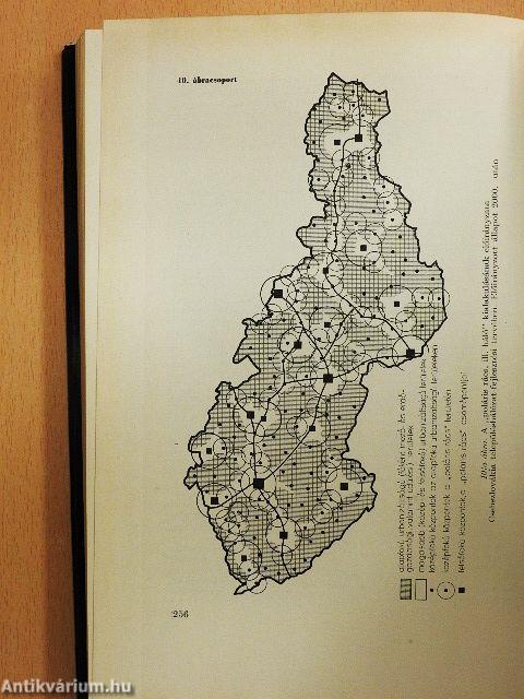 Környezet és településhálózat