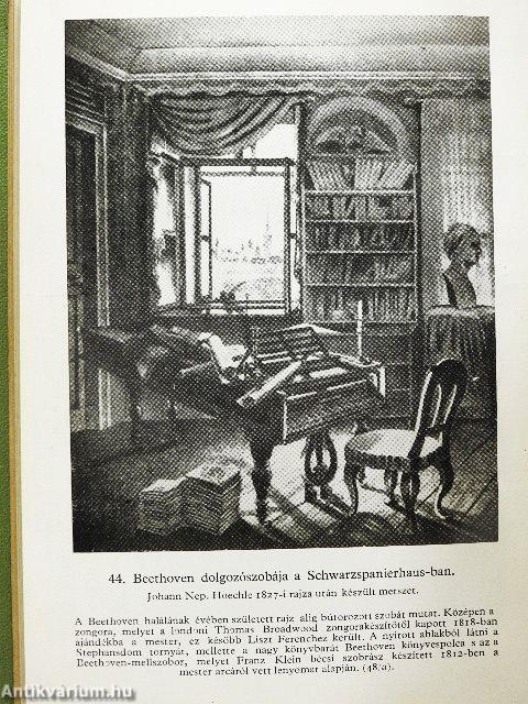 Ludwig van Beethoven élete képekben