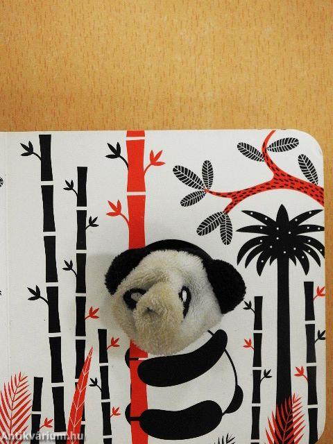 A kis panda