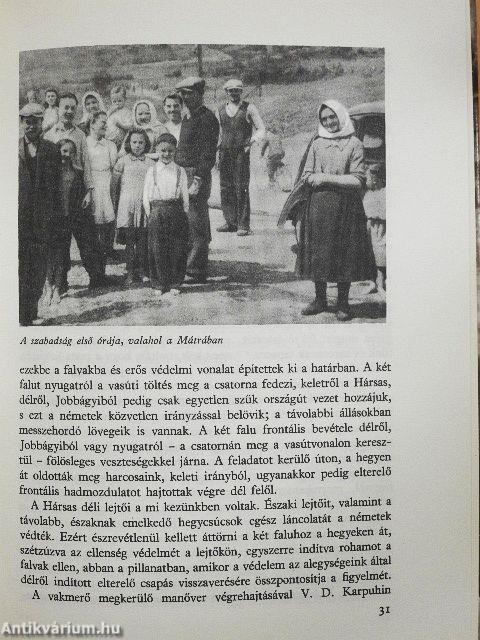Magyar napló