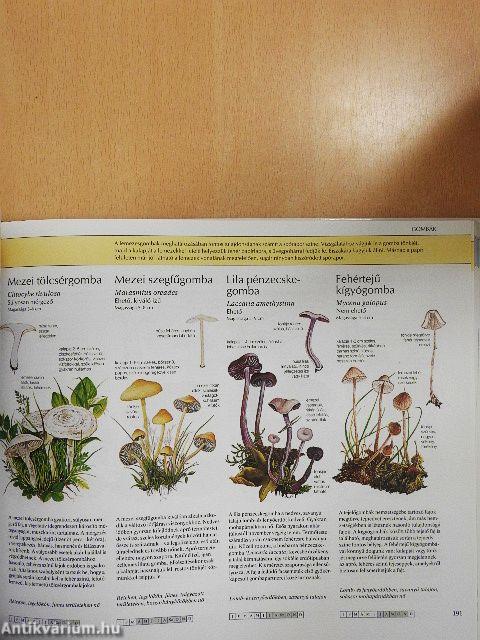 Természetbarátok kézikönyve