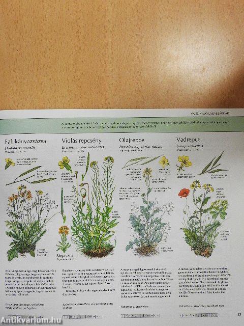 Természetbarátok kézikönyve